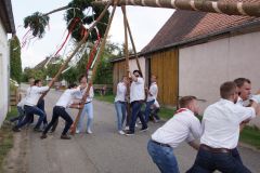 DSC08082